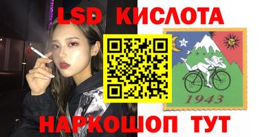 СК Кандалакша